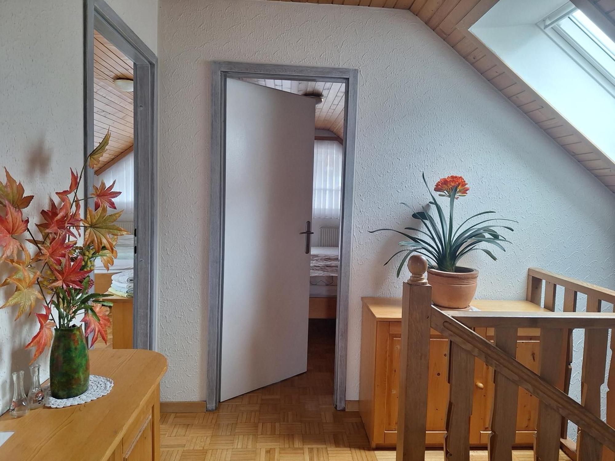 Apartmaji Marinka Hodnik Bohinji-tó Kültér fotó